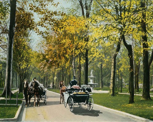 Middle drive woodruff - middle,